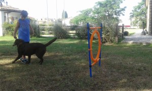20160708 091826