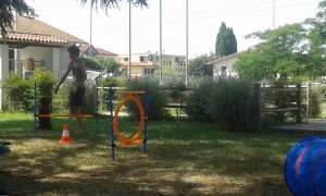 20160708 104433