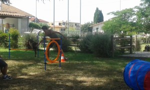 20160708 104507