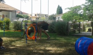 20160708 104509
