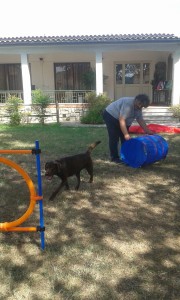 20160708 104926